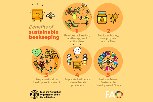 “Home for Bees” Conservation and Education Programme benefits of sustainable beekeeping