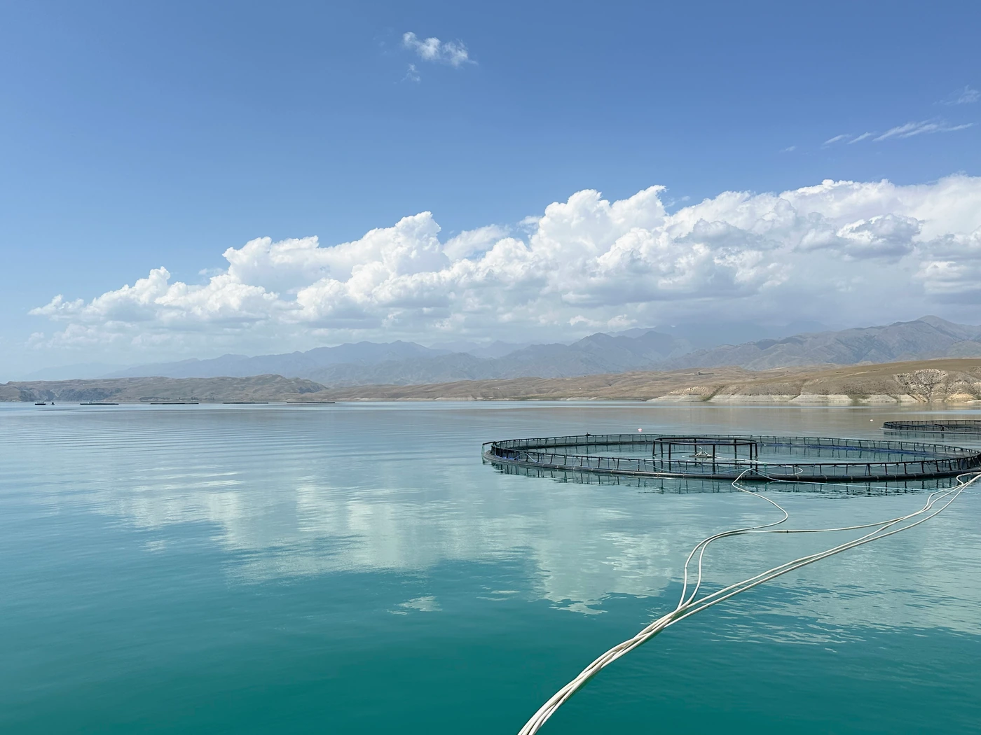Cold-water aquaculture base in Xinjiang