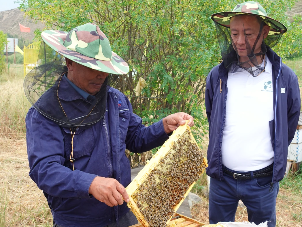 Xinjiang field learning | Observation