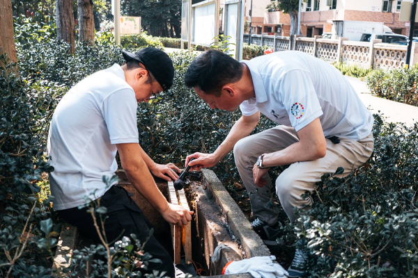荔枝角公園蜂巢「重置和回歸」
